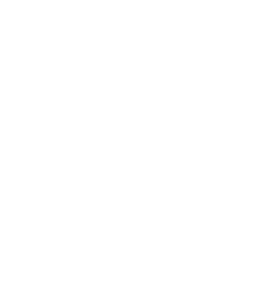 Denture repair